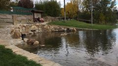 Las termas de Ourense, cerradas por la subida del Mi�o