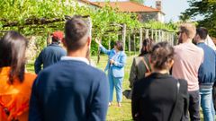 Hasta 17 bodegas de R�as Baixas abrir�n sus puertas a los visitantes durante este fin de semana