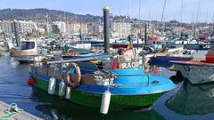 Toda la flota de bajura�de la r�a de Pontevedra regresa al mar