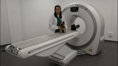 HOSPITAL PARA MASCOTAS 4 DE OCTUBRE
Paloma Gonz�lez de Ramos, responsable del centro veterinario