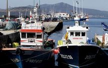 Imagen de la flota del cerco en el puerto de Portos�n.