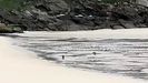 Como la foto fue tomada a mucha distancia, al acercarla se ven difusos los dos lobos merodeando por la playa de Esteiro