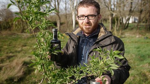 Arbustos silvestres. Nelson Alonso trabaja con el sabugueiro en Vilar de Santos y lo usa para hacer mermeladas y licores