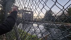 Canal de la central el�ctrica de Caranto�a en el que se ahogaron cuatro perros