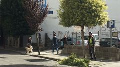 Est�n en marcha las labores de poda de los �rboles de la traves�a de O Barco de Valdeorras