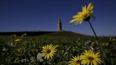 Torre de H�rcules