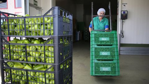 Cooperativa hort�cola en la provincia de Pontevedra