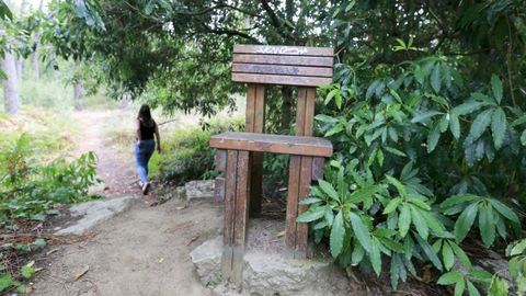 Los desbroces se llevar�n a cabo en cunetas y caminos de todo el t�rmino municipal