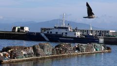 Embarcaci�n del servicio de Gardacostas en el puerto de Ribeira