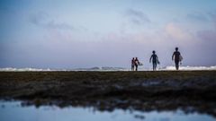 Surfistas a punto de entrar en el agua en Ericeira 