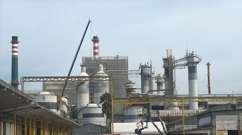 La planta de Ence en Pontevedra durante la reciente parada t�cnica anual