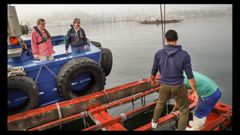 Antonio Basanta (director auton�mico de Pesca) y Rosa Quintana (conselleira do Mar) miran desde un barco la batea de mejill�n que visitaron en la r�a de Vigo