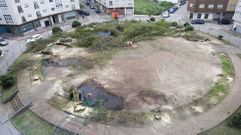 Pol�mica tala de �rboles en la plaza de Rosal�a de Ferrol