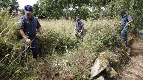Búsqueda de Julio Feráandez en Allariz