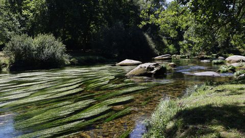 El río Avia, en el área recreativa O Salgueiral, en Leiro.