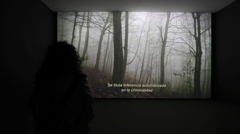 La muestra cuenta con cuatro piezas visuales