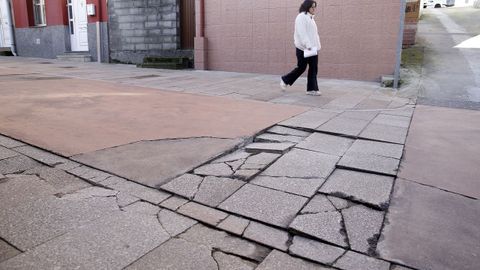 DESTROZOS Y DENUNCIAS EN LA CALLE ROMERO ORTIZ