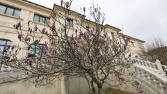 Casa do Concello de Corcubi�n
