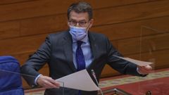 Alberto N��ez Feijoo durante una sesi�n de control en el Parlamento de Galicia