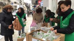 Manzanas para concienciar contra el c�ncer