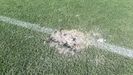 El club est� evaluando el alcance de los da�os que afectan especialmente a algunas zonas del campo, al sistema de riego y al c�sped h�brido