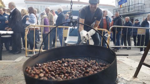 Festa da Casta�a e do Cogumelo en Ri�s