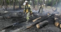 La superficie quemada est� en una zona alta, lejos de los senderos, donde crecen los pinos pero tambi�n demasiada maleza. 