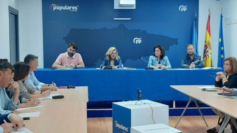 Teresa Mallada, presidenta del PP de Asturias, durante la reuni�n con los Presidentes de las Comisiones de Estudio de los populares asturianos y la vicesecretaria de estrategia y programa electoral Beatriz Polledo