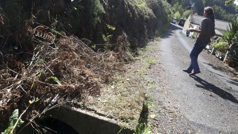 Los restos que tupen las cunetas