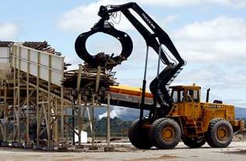 Biomasa Forestal cont� con ayudas de Industria para su implantaci�n en As Pontes.