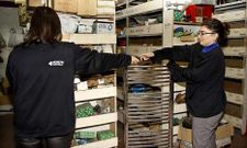 Las empresas de fontaner�a tratan de combatir la competencia desleal por dos v�as.