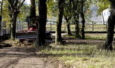 Acondicionar la �carballeira� de la zona cultural y deportiva es uno de los apartados del proyecto.