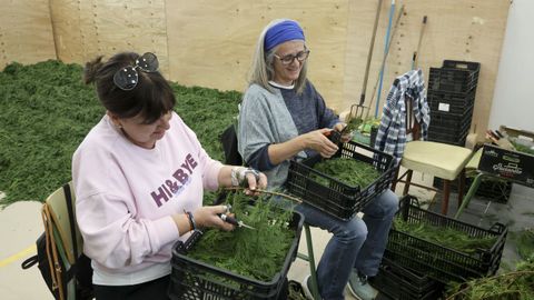 Dos mujeres cortan verde en uno de los locales de Ares. 