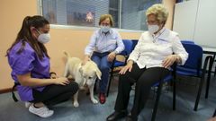 Rebeca Freire, educadora social y especialista en terapias asistidas con animales, dirige las sesiones con Nala