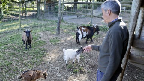 Fernando posa junto a una familia de cabras. 