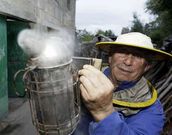 Un vecino ah�ma la casa para ahuyentar a las abejas.