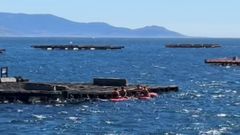 Rescatan a un grupo de personas que acab a la deriva mientras practicaba pdel surf en la ra de Vigo