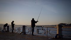 Los pescadores vuelven a lanzar sus ca�as