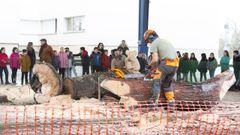 Trabajos en madera en el colegio de Guitiriz