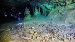 As� es la cueva inundada m�s grande del mundo