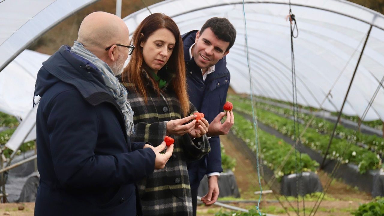 La conselleira de Medio Rural avanza en A Estrada un nuevo programa de apoyo a productores de frutas y hortalizas