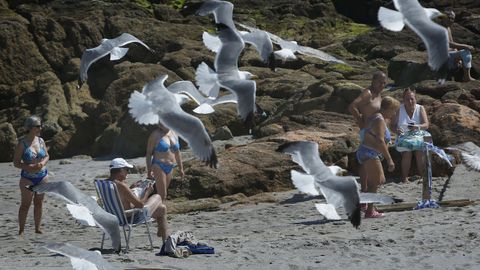 Ba�istas y gaviotas en Riazor