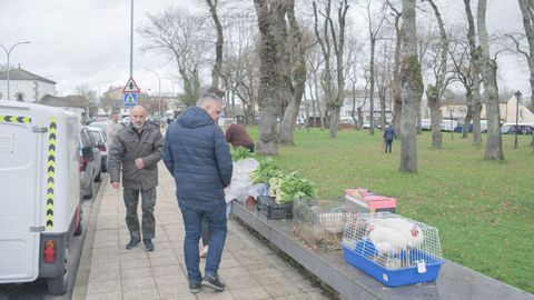 Puesto de venta de gallinas en Castro de Ribeiras de Lea el pasado mircoles.