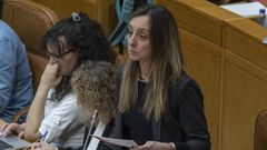 Paloma Castro, del PSdeG, en un pleno en el Parlamento de Galicia en febrero del 2025