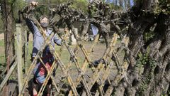 Lola Tour�n, no Paseo do Rato