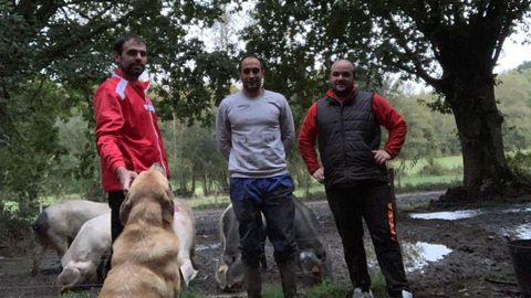 Diego Pensa, �scar Mosquera y Diego G�mez. Monterroso. Vieron varios reportajes que hablaban de las bondades del porco celta y los tres miembros de la cooperativa D.O.D. Celtas da Ulloa se lanzaron el a�o pasado a criar estos animales. Ahora quieren abrir un cebadero para aumentar la producci�n.