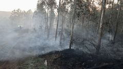 Incendio forestal en Entrecruces hace unos d�as