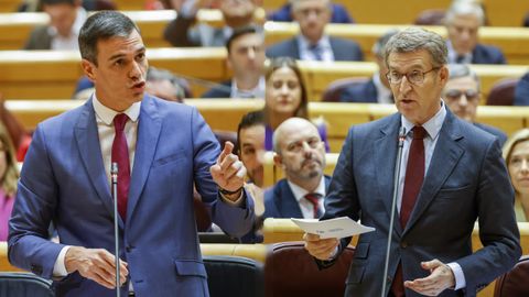 Pedro Snchez y Alberto Nez Feijoo, en un cara a cara en el Senado el 21 de febrero