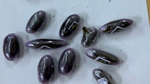 Imagen de las bellotas de hach�s