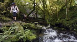 Los peregrinos extranjeros se sorprenden con el verde del valle de O Salnés y con la riqueza histórica de los monumentos. 